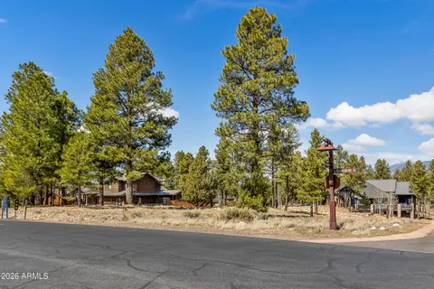 a view of a yard with cars on road