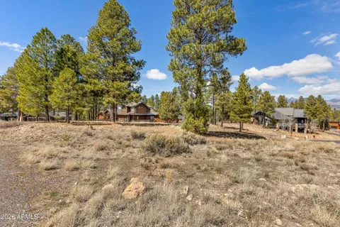 a view of open space with trees