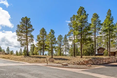 a backyard of a house with lots of trees