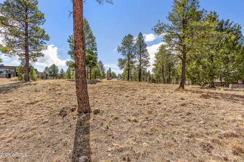 a view of snow on the side of a road