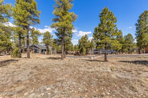 a view of road and trees