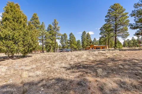 a view of outdoor space with trees around