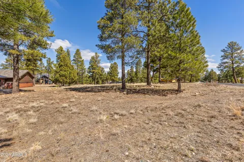 a view of outdoor space with green space