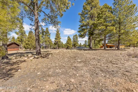 a view of road with trees