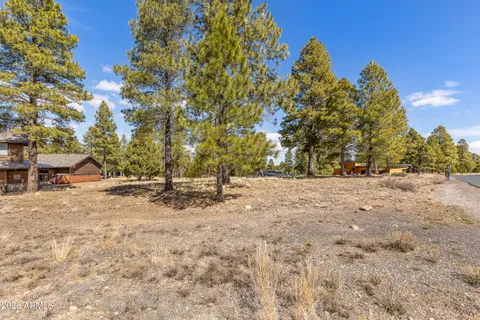 a view of road and trees