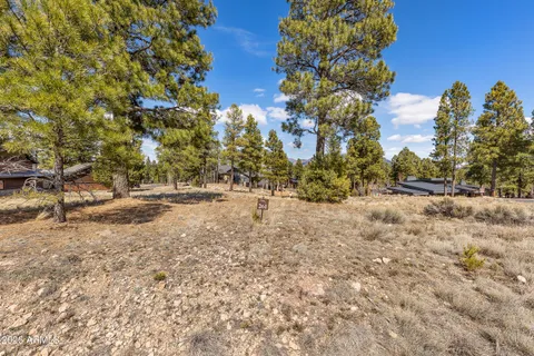 a view of road and covered with green space