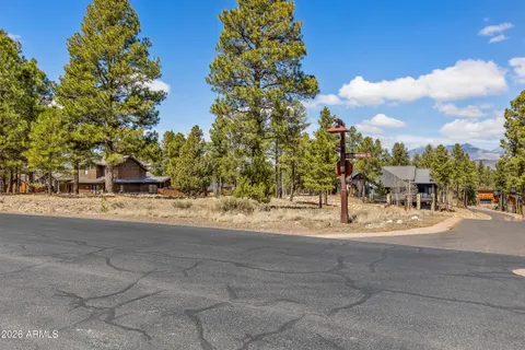a view of road and trees