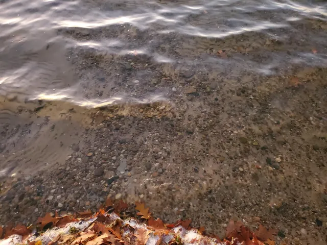 $270,000 | 5037 2nd Street, Delton, MI 49046