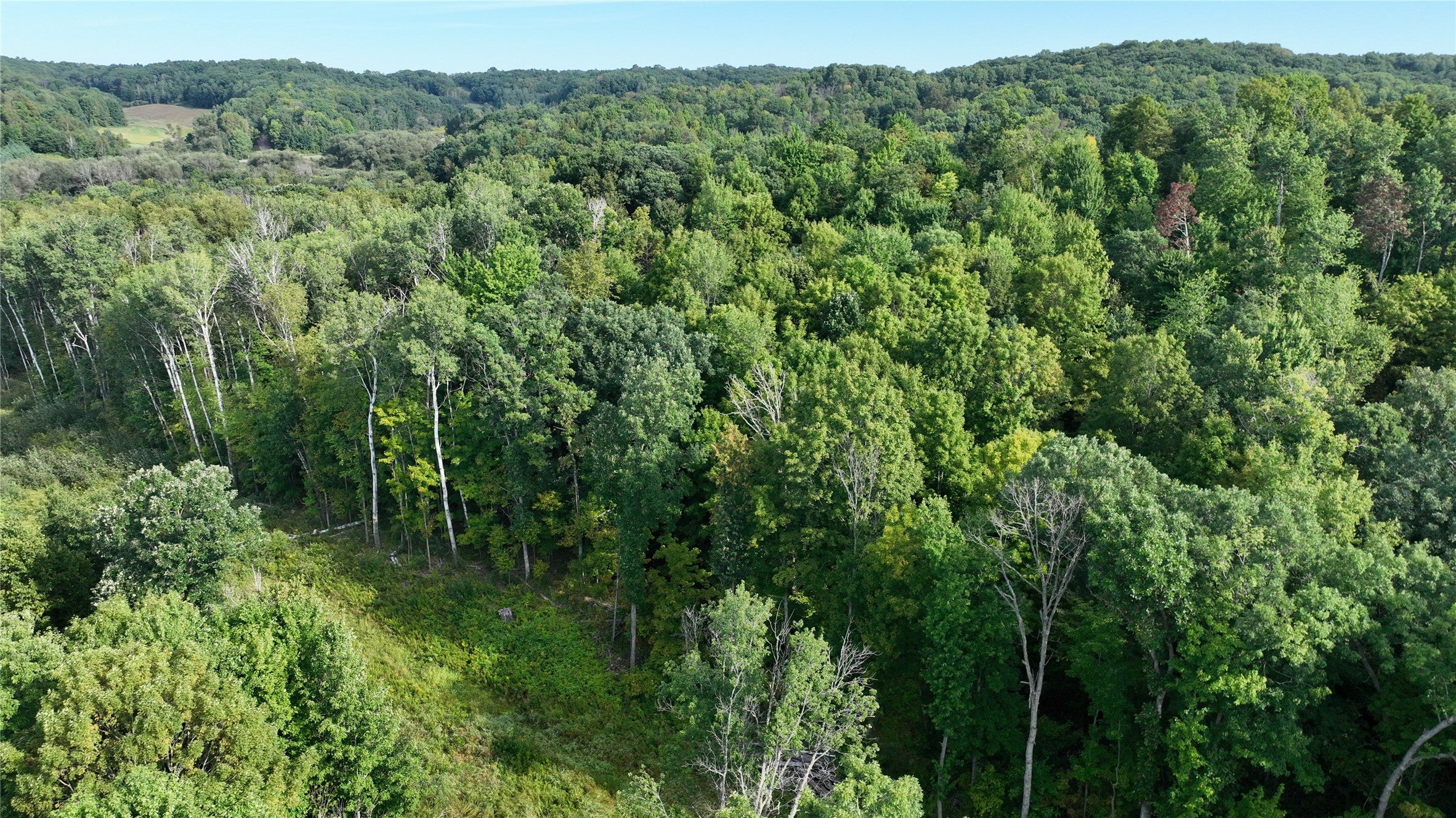 Xx County Rd O Boyceville, WI 54725 - Photo 24 of 36 Gallery Image 24