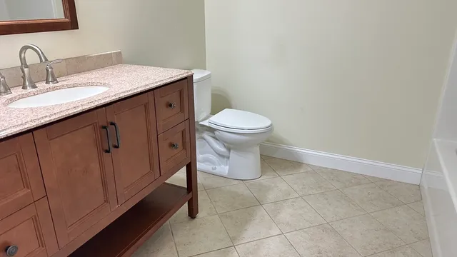 a bathroom with a sink a toilet and mirror