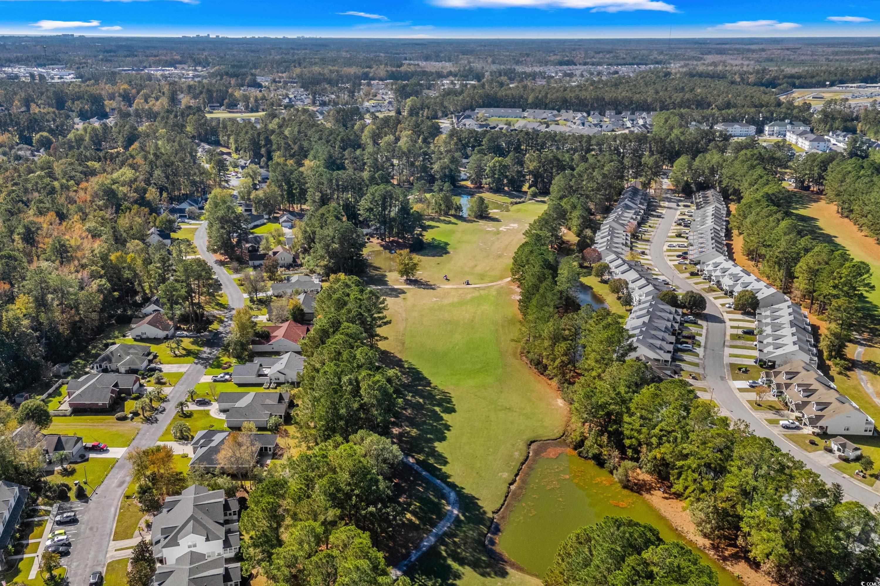 493 Shellbank Drive, Unit 2B Longs, SC 29568 - Photo 12 of 40 Aerial view