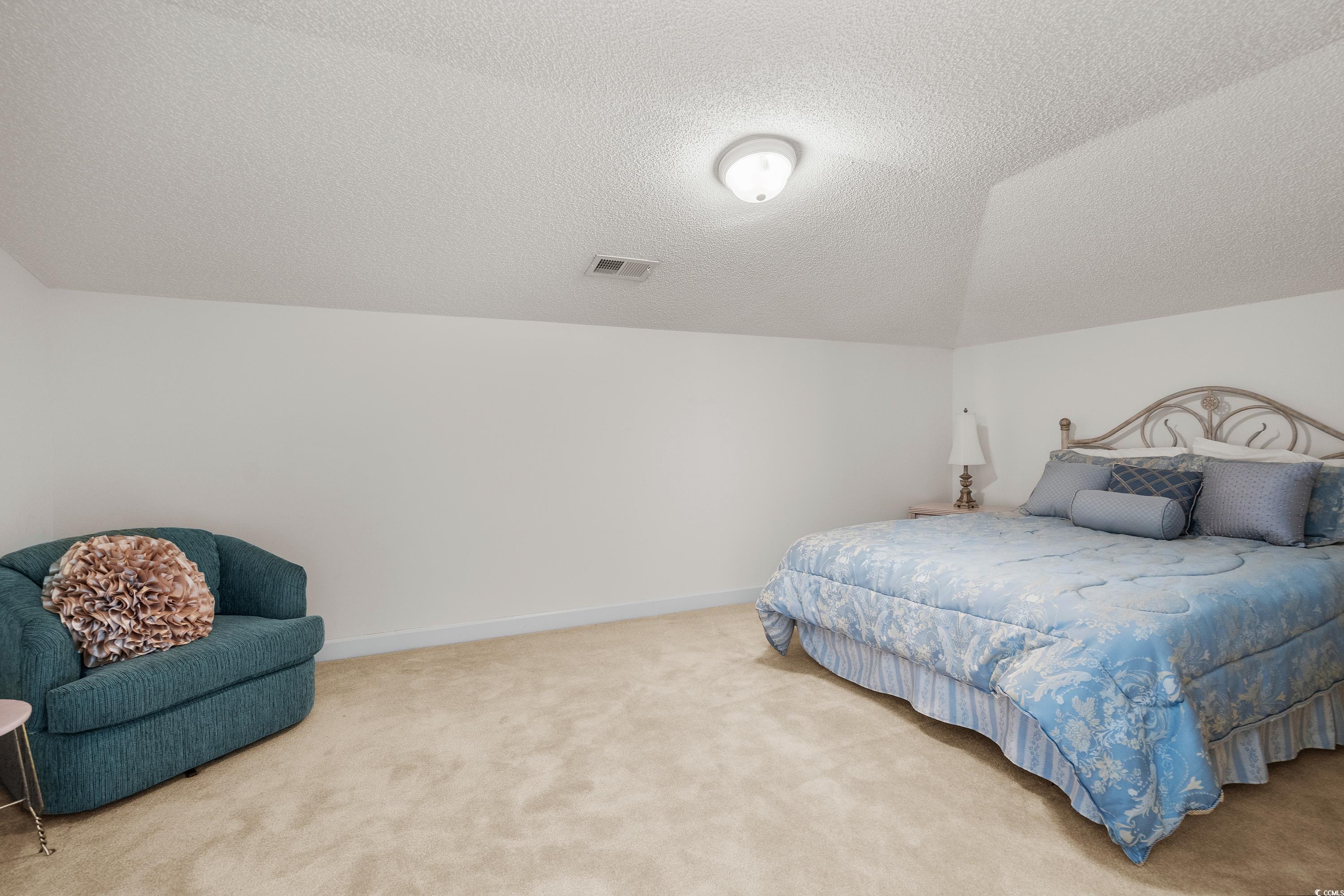 493 Shellbank Drive, Unit 2B Longs, SC 29568 - Photo 31 of 40 Carpeted bedroom featuring a textured ceiling and