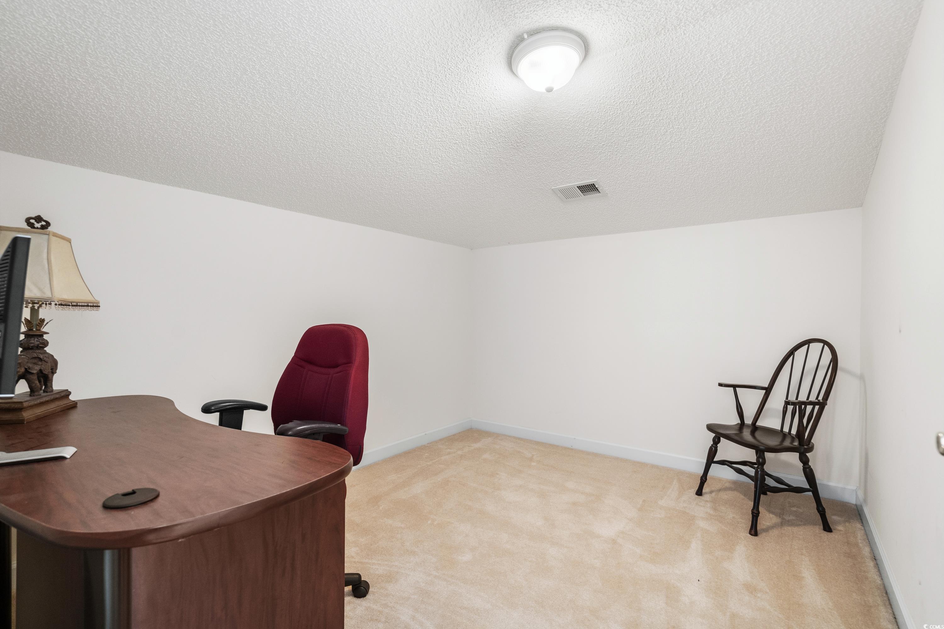 493 Shellbank Drive, Unit 2B Longs, SC 29568 - Photo 34 of 40 Carpeted office space with a textured ceiling