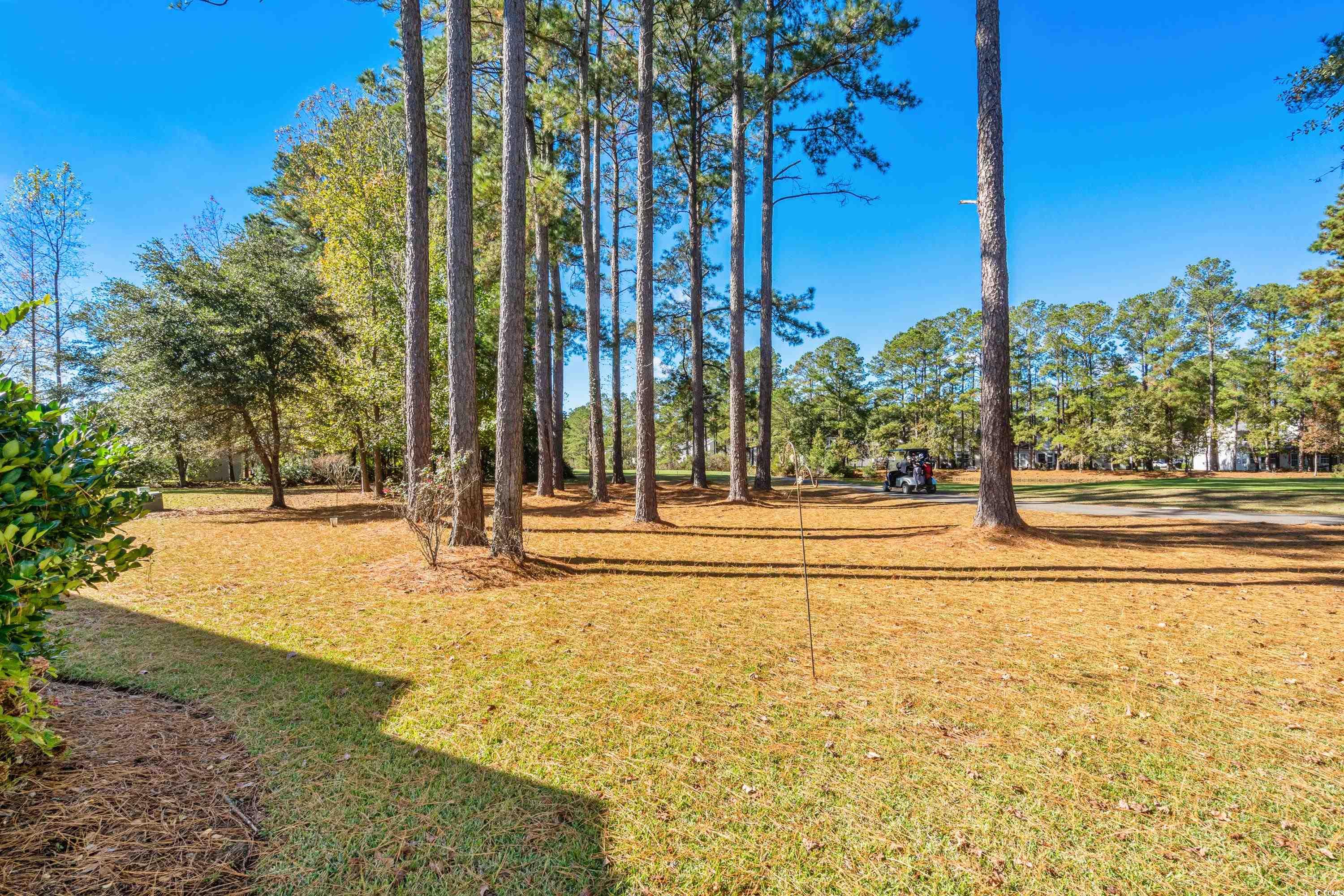 493 Shellbank Drive, Unit 2B Longs, SC 29568 - Photo 10 of 40 View of yard