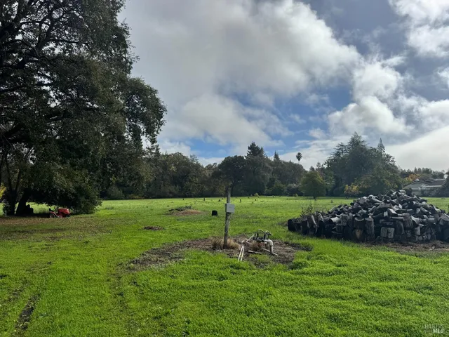 a green field with lots of trees in it