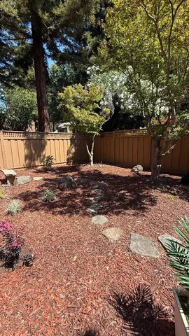a view of backyard with tree