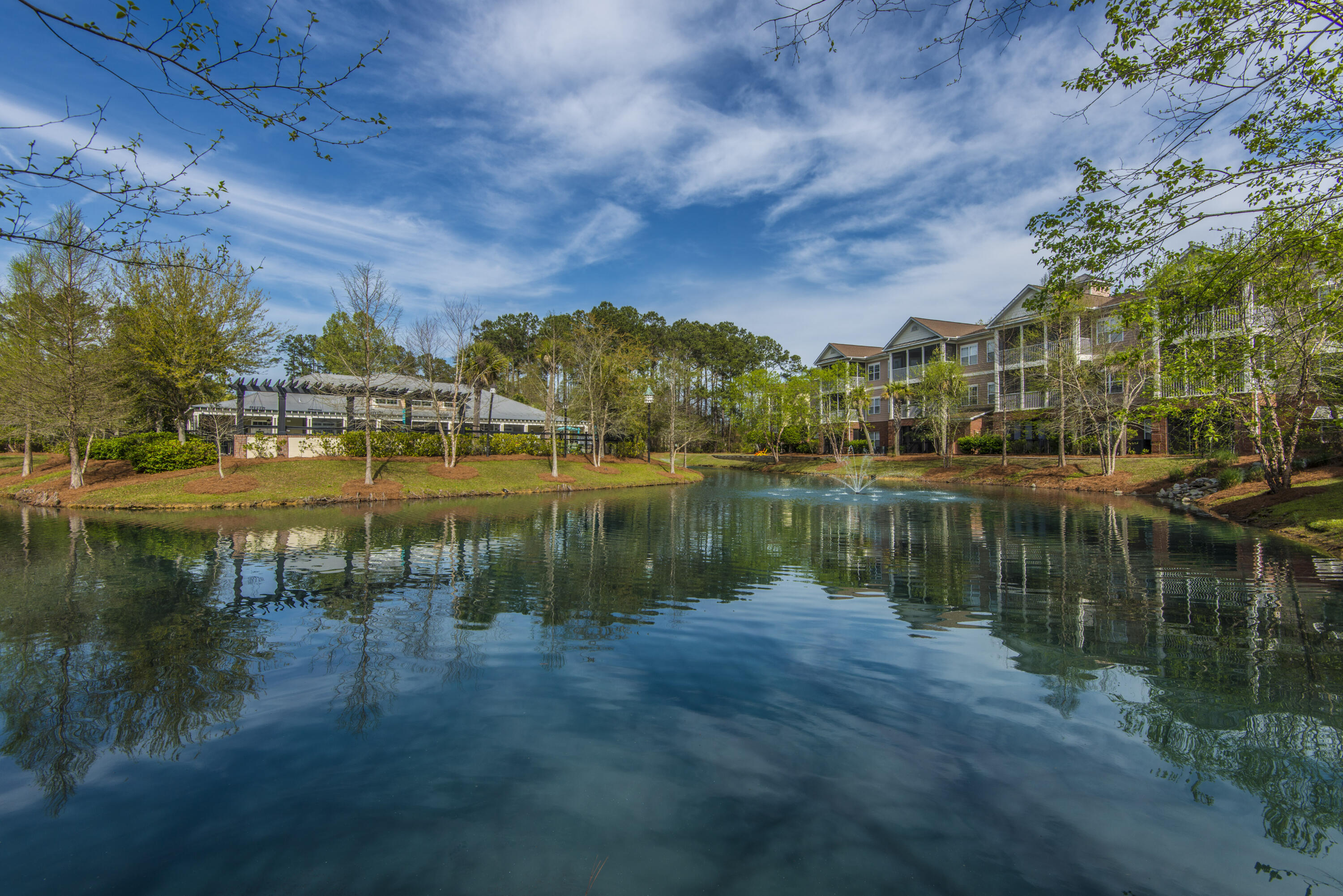 1319 Basildon Road Mount Pleasant, SC 29466 - Photo 47 of 63 _DSC8624