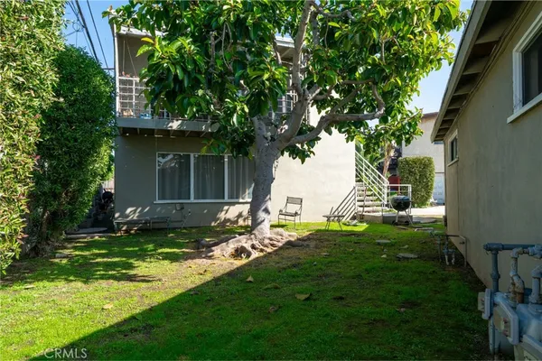 a view of a backyard with plants and a large tree
