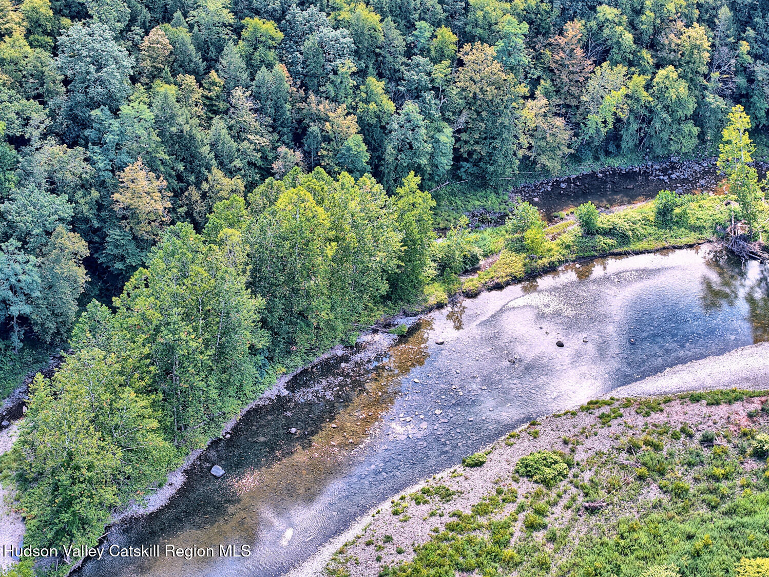 70 Horseneck Road Freehold, NY 12431 - Photo 57 of 70 a view of a garden with plants
