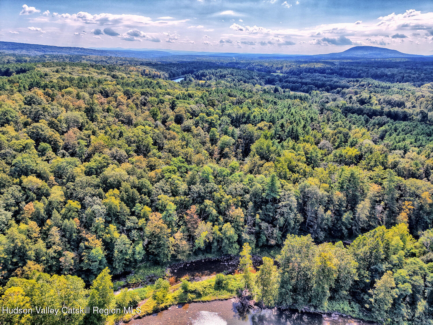 70 Horseneck Road Freehold, NY 12431 - Photo 59 of 70 DJI_20250904114219_0064_D_5_D_6_D_easyHD