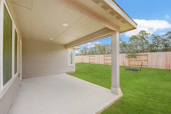 a view of a backyard with plants and a backyard