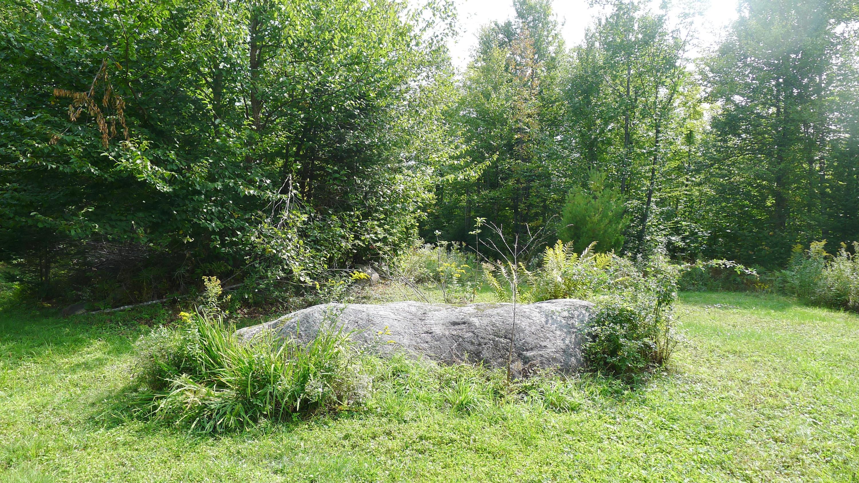 Lot 11 Basin Road Carthage, ME 04224 - Photo 39 of 43 Fresh air & sunshine! It's healing.