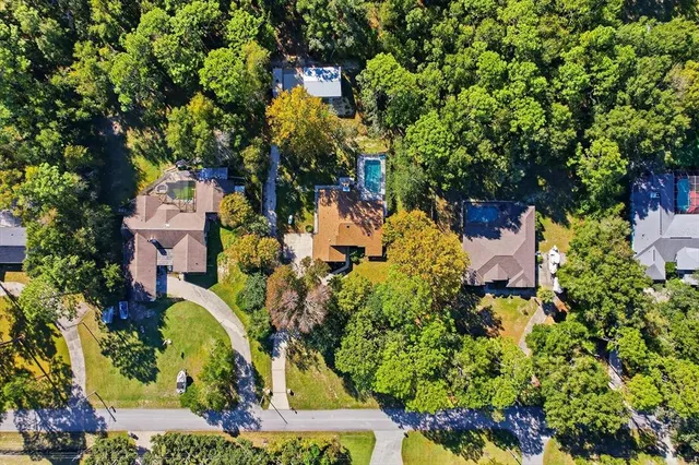view of a bunch of flowers