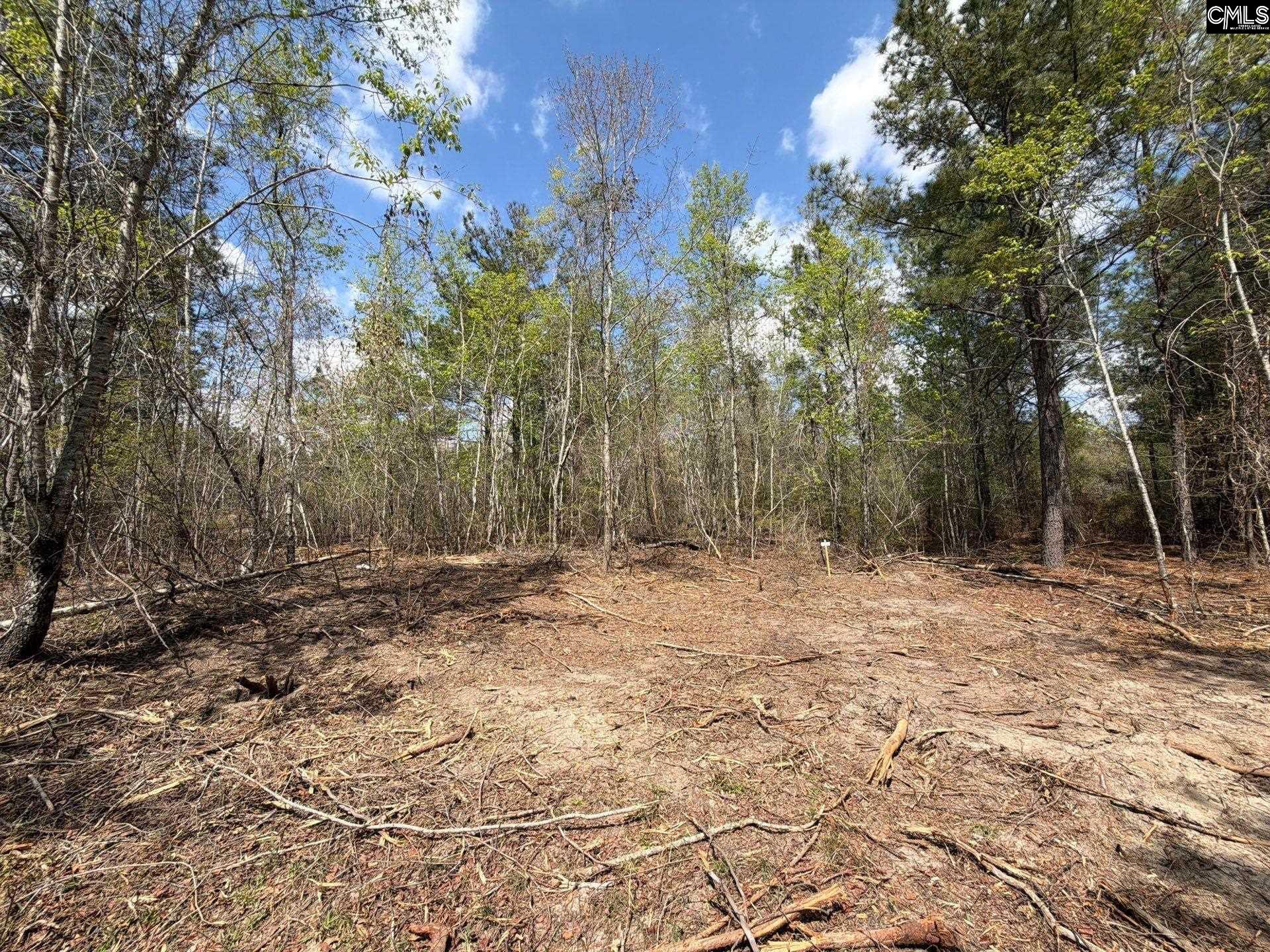3 Mt Calvary Rd Ridge Spring Ridge Spring, SC 29129 - Photo 24 of 27