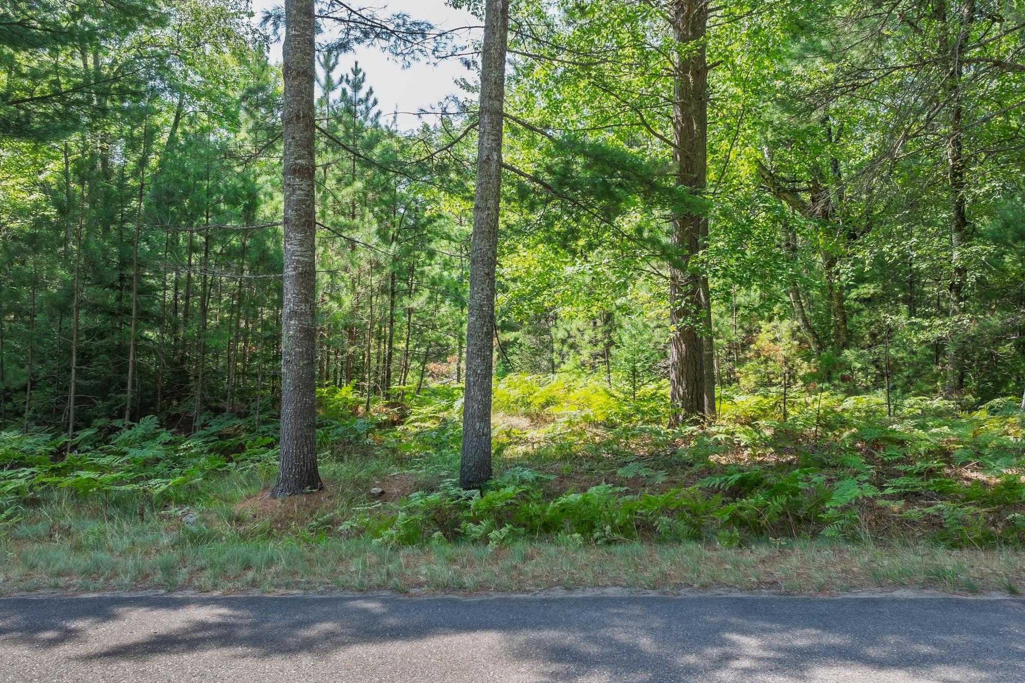 Off Watersmeet Lake Road, Unit 3&4 Eagle River, WI 54521 - Photo 36 of 37 Gallery Image 36
