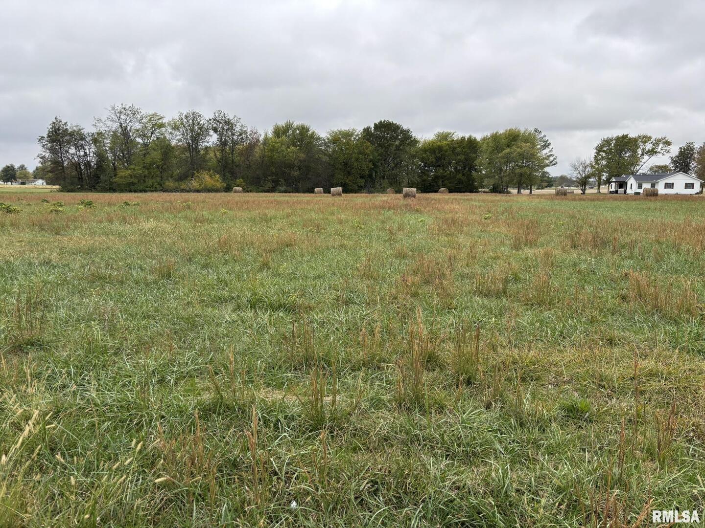 1200-block Roddy Road Salem, IL 62881 - Photo 2 of 2