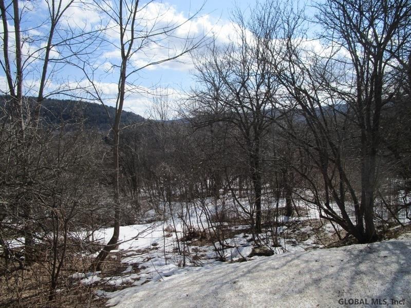 166 Rt Roseboom, NY 13450 - Photo 12 of 14 Photo 12