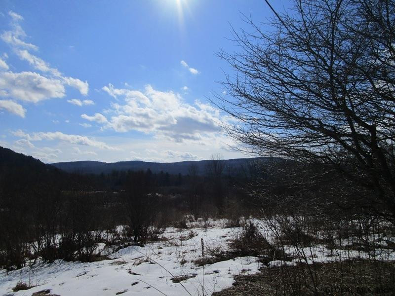 166 Rt Roseboom, NY 13450 - Photo 5 of 14 Photo 5