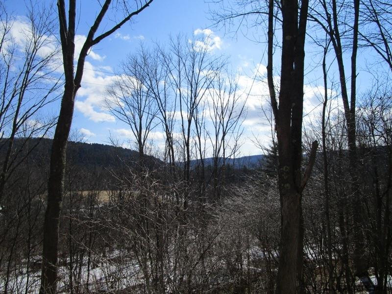 166 Rt Roseboom, NY 13450 - Photo 6 of 14 Photo 6