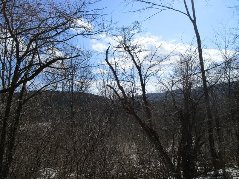 166 Rt Roseboom, NY 13450 - Photo 7 of 14 Photo 7