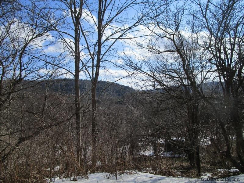166 Rt Roseboom, NY 13450 - Photo 9 of 14 Photo 9