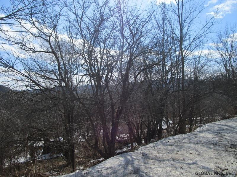 166 Rt Roseboom, NY 13450 - Photo 10 of 14 Photo 10