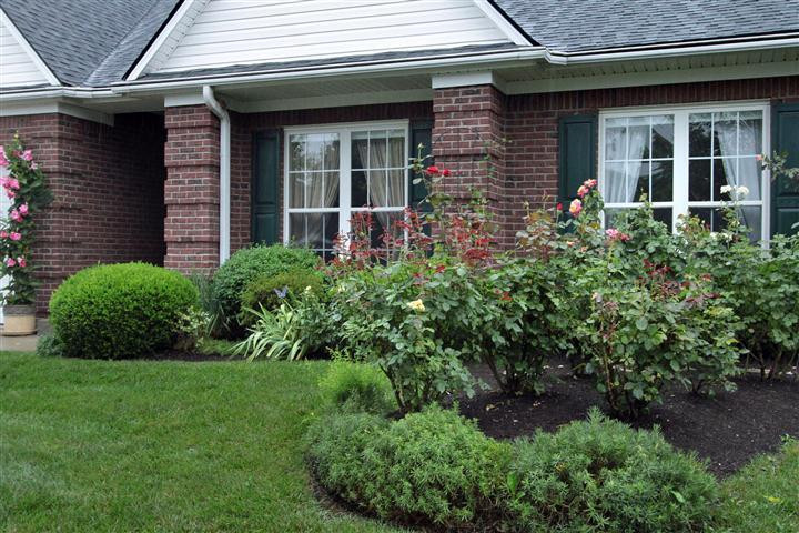 768 Laurel Hill Road Lexington, KY 40504 - Photo 2 of 23 Photo 2