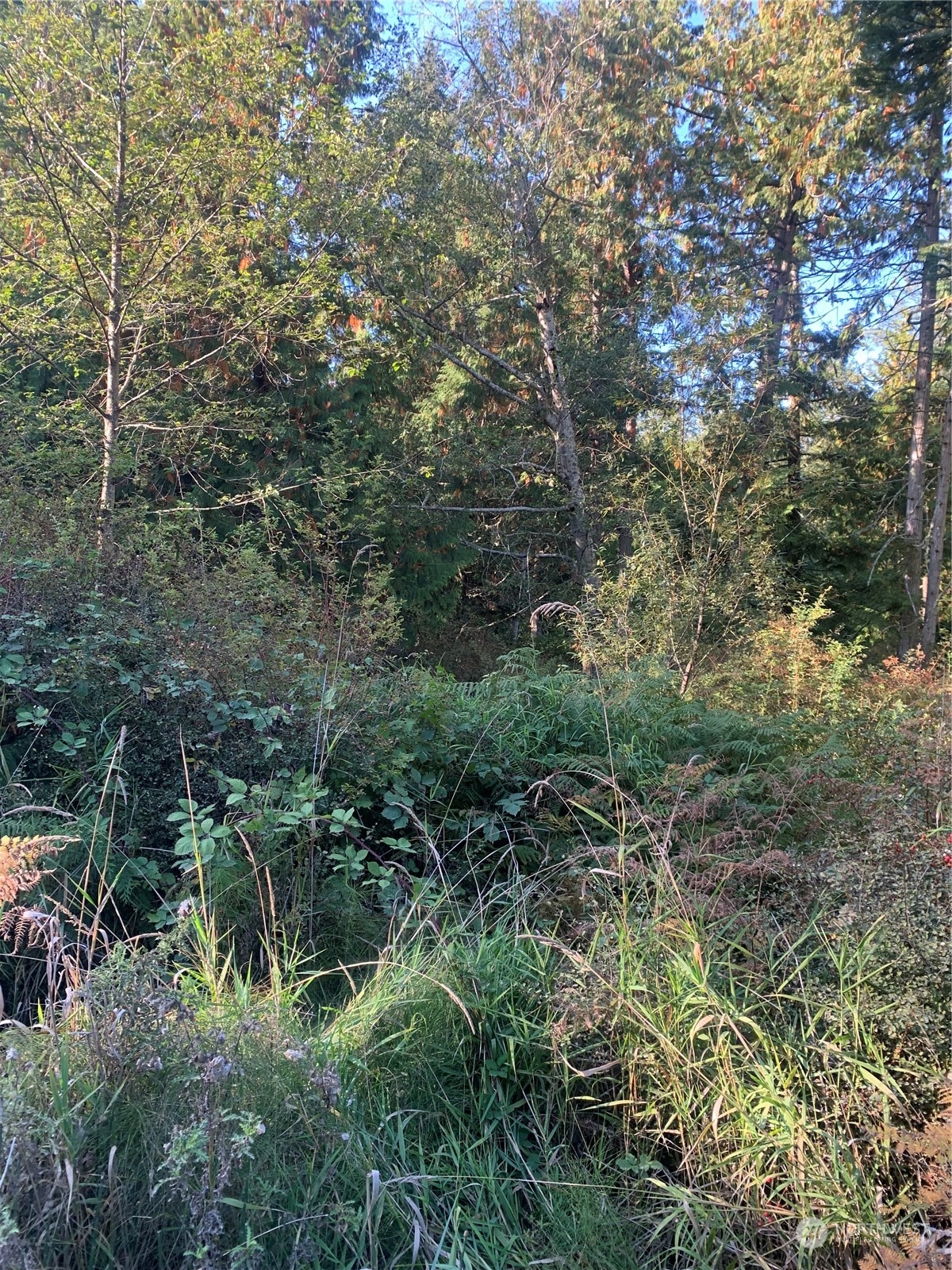 20 Harmon Ranch Road Anacortes, WA 98221 - Photo 1 of 4