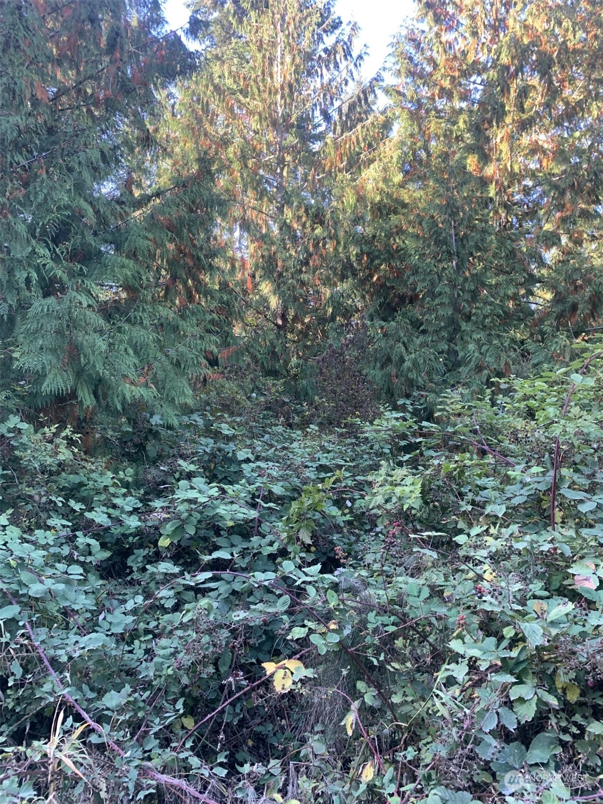 20 Harmon Ranch Road Anacortes, WA 98221 - Photo 3 of 4