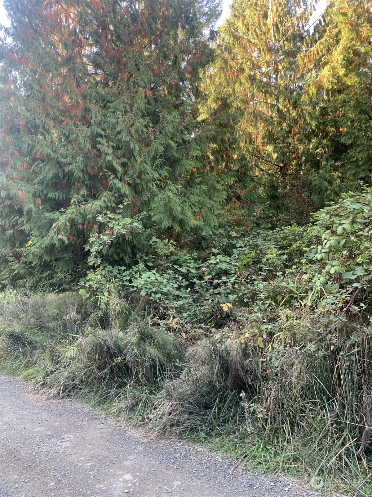 20 Harmon Ranch Road Anacortes, WA 98221 - Photo 4 of 4