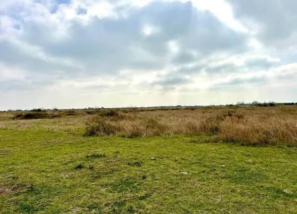 a view of a lake with houses in the back