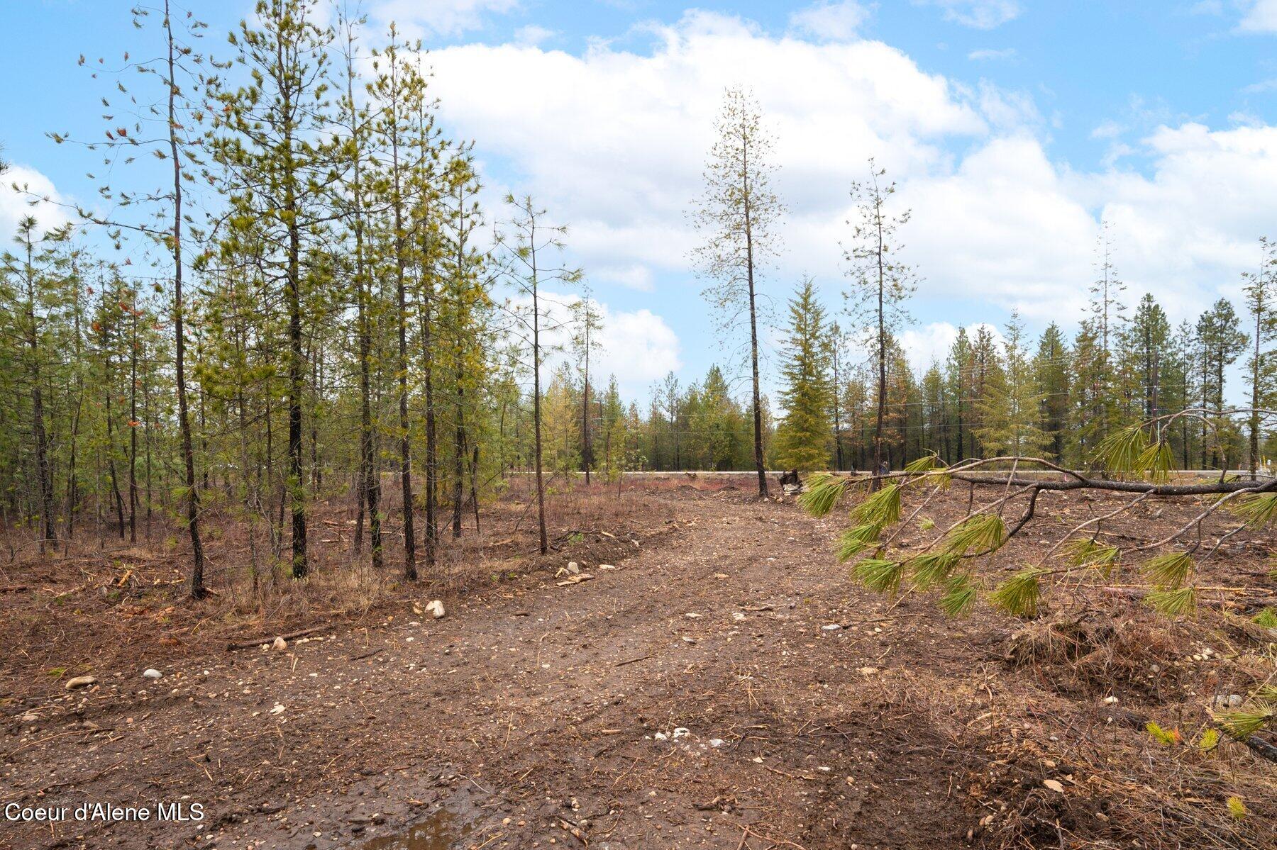 L6-b1 North Mountain View Road Rathdrum, ID 83858 - Photo 5 of 10 --4.jpg-SMALL