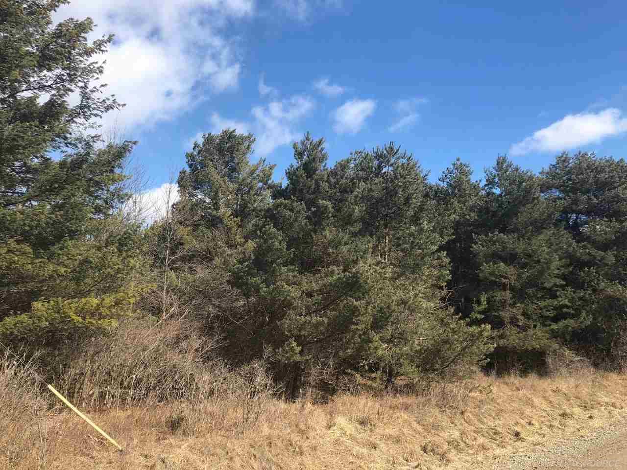 0 Maple Valley Road Sandusky, MI 48471 - Photo 4 of 4