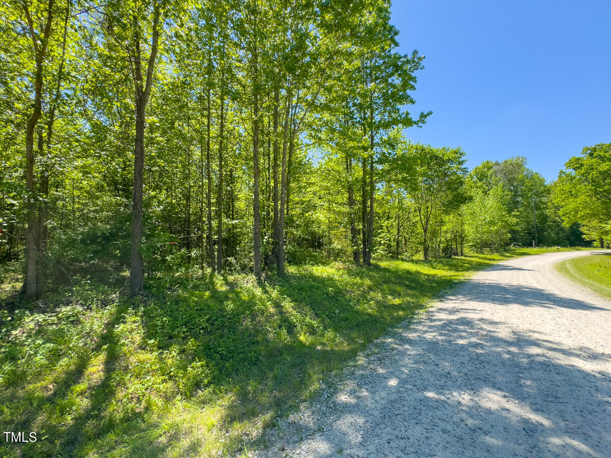 Lot-1-00 Wilson Road Providence, NC 27315 - Photo 30 of 43 Caswell Co. NC -Wilsons Ridge-Lot 1-30