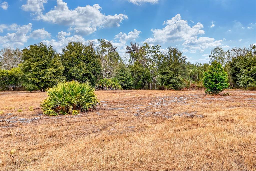 Lake Buffum Road East Fort Meade, FL 33841 - Photo 11 of 22