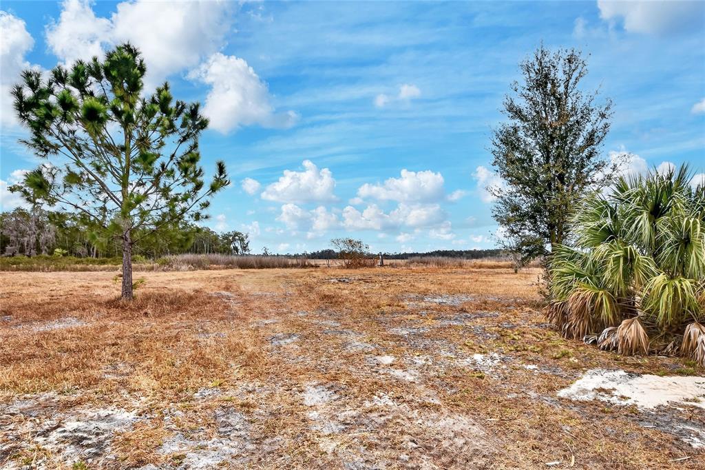 Lake Buffum Road East Fort Meade, FL 33841 - Photo 12 of 22