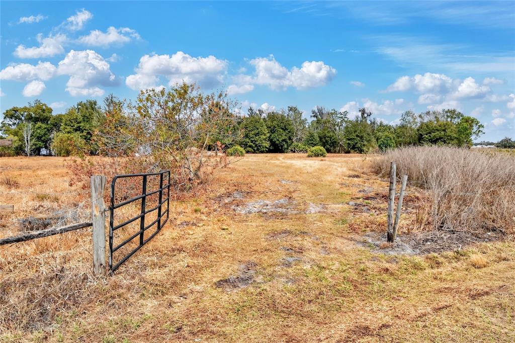 Lake Buffum Road East Fort Meade, FL 33841 - Photo 14 of 22