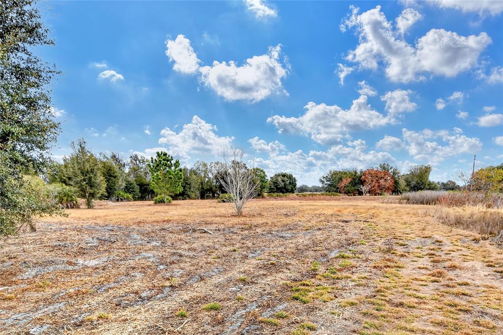 Lake Buffum Road East Fort Meade, FL 33841 - Photo 10 of 22