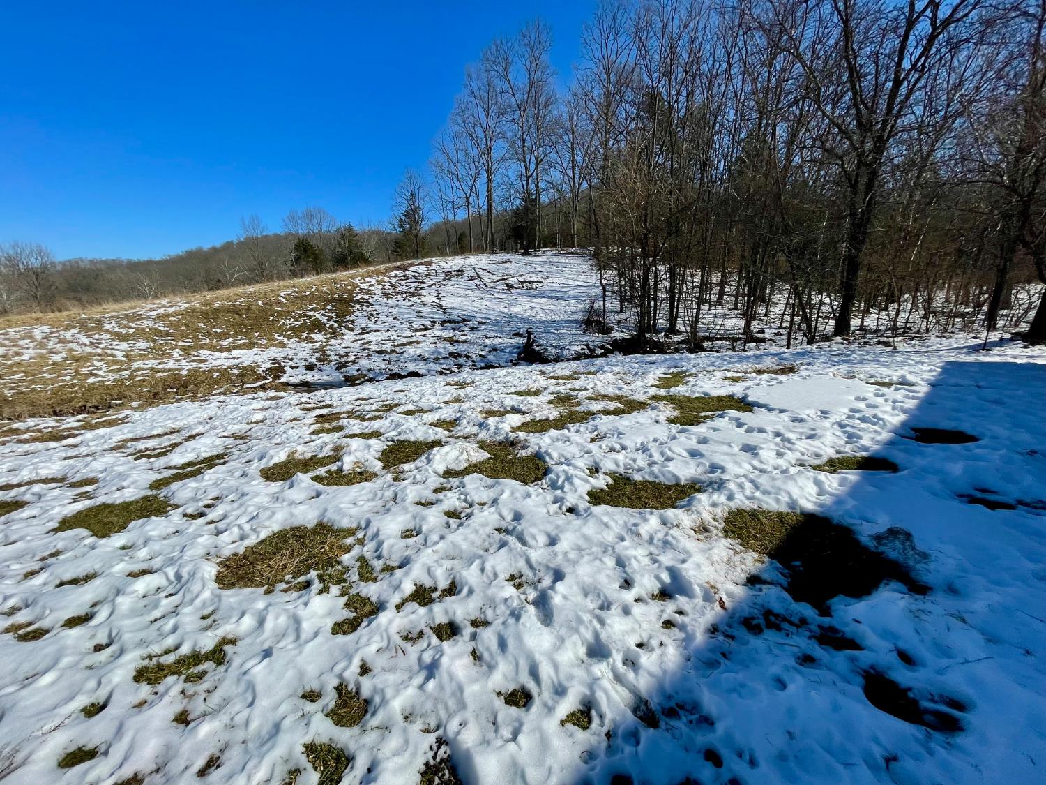 6033 Siemon Road Brookville, IN 47012 - Photo 14 of 62