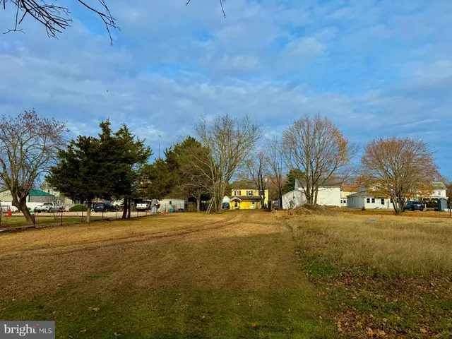 a view of road and trees